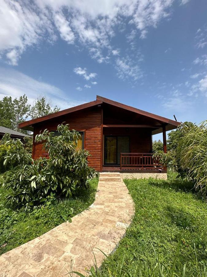 Cirali Villas 2 エクステリア 写真