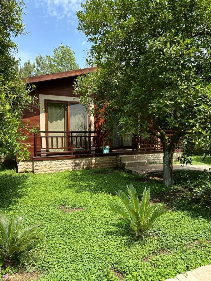 Cirali Villas 2 エクステリア 写真