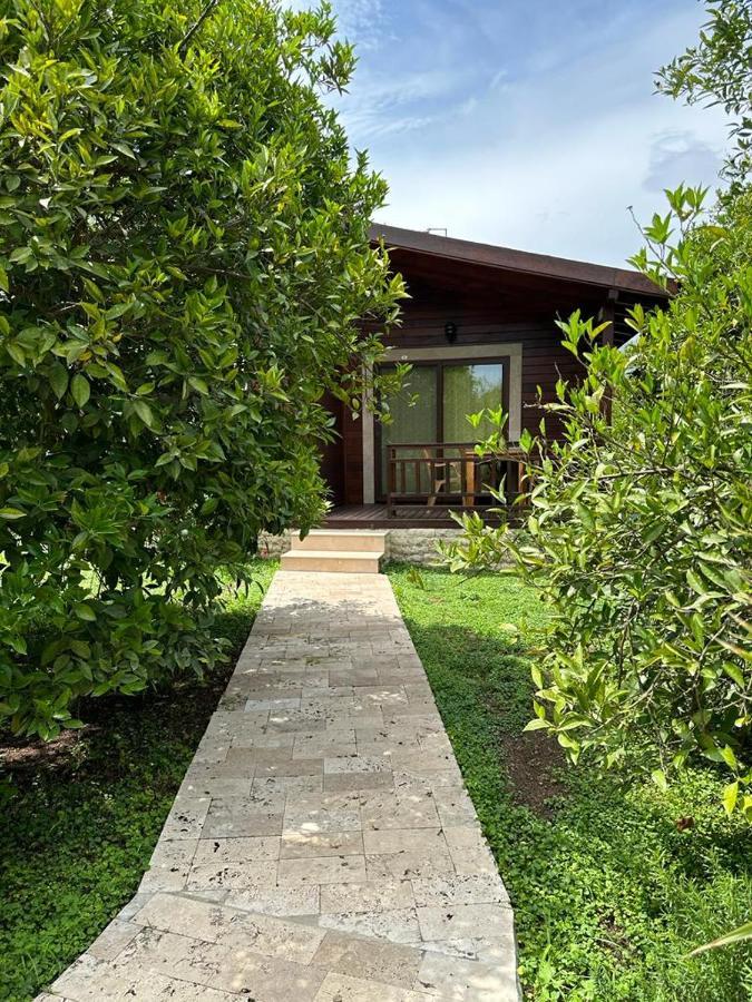 Cirali Villas 2 エクステリア 写真