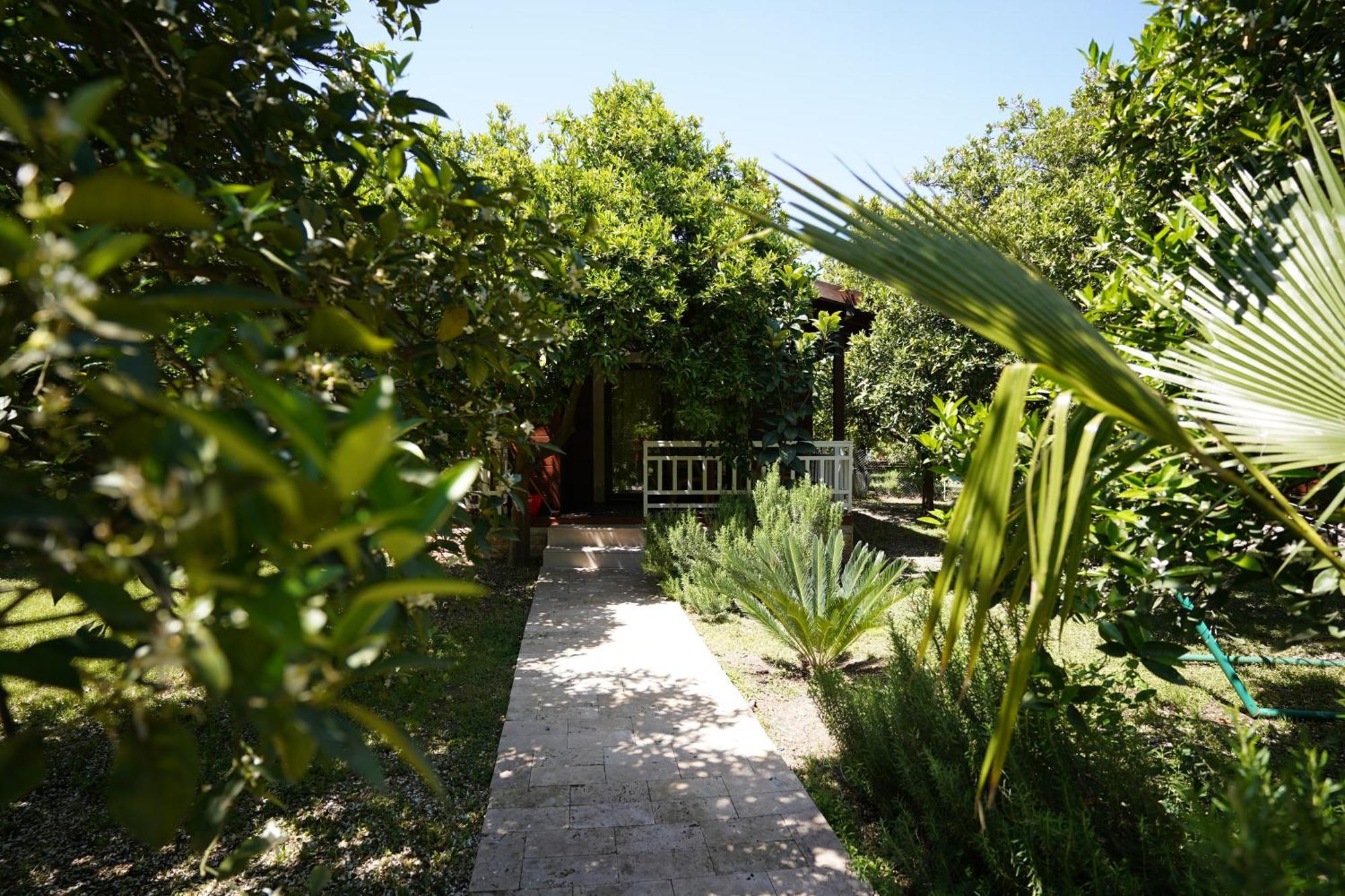 Cirali Villas 2 エクステリア 写真